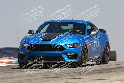 media/Jul-26-2025-Speed Ventures (Sat) [[fe569e6cf0]]/Black Group/Grapvine/